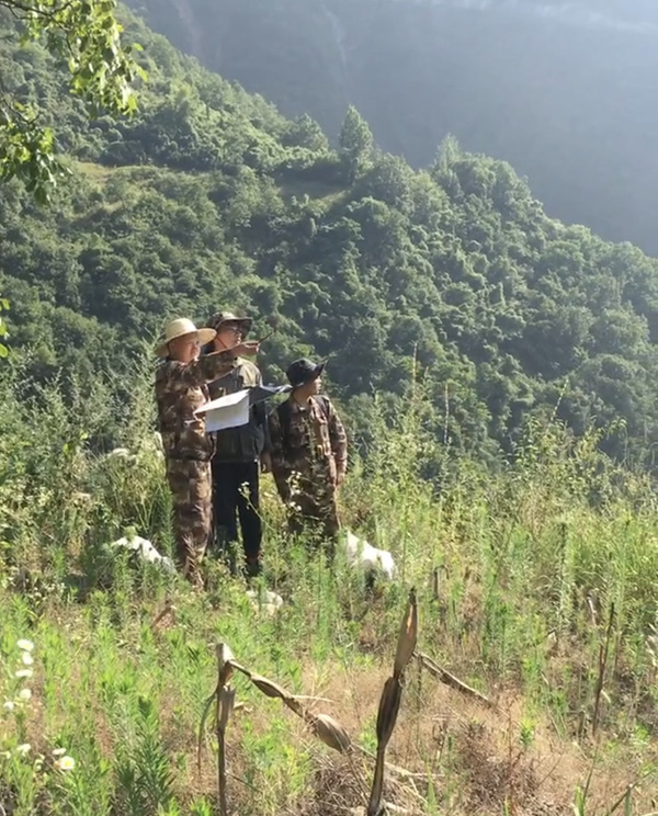 無懼“烤”驗，不負“熱”愛，用堅持成就不凡！----我公司陜西省鎮(zhèn)安縣早陽山一帶鈷多金屬礦預查項目找礦成果顯著